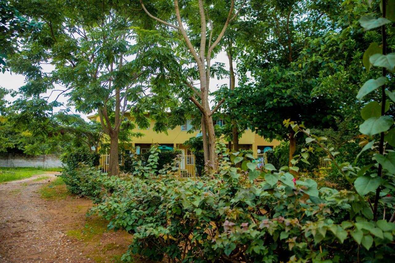 Sanctuary Aparthotel-Ac-Garden- Solar-Wi-Fi -Firepit-Park-Carport Lusaka Kültér fotó